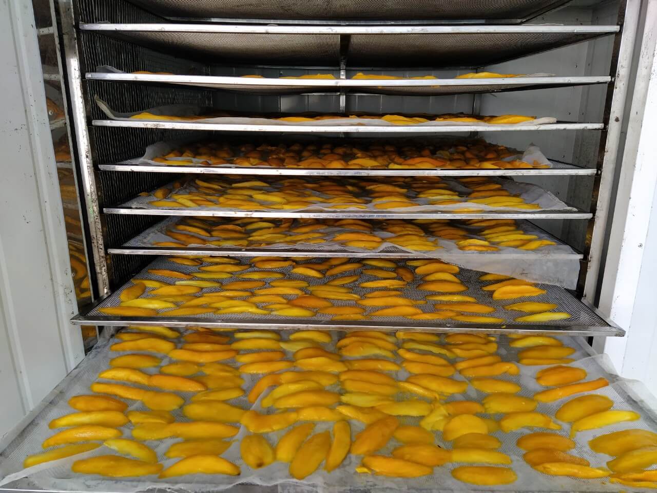 drying fruit in machine